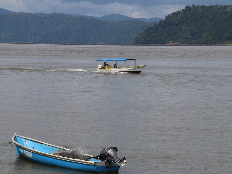 10 Bed Land For Sale in Zancudo Costa Rica